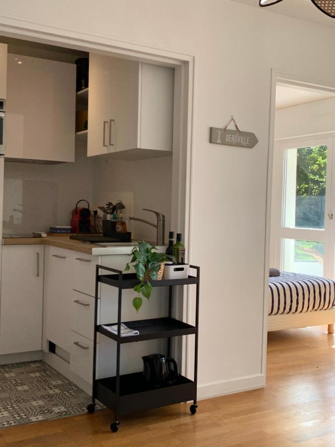 Trouville, Appartement Renove Avec Grande Terrasse Au Calme Экстерьер фото