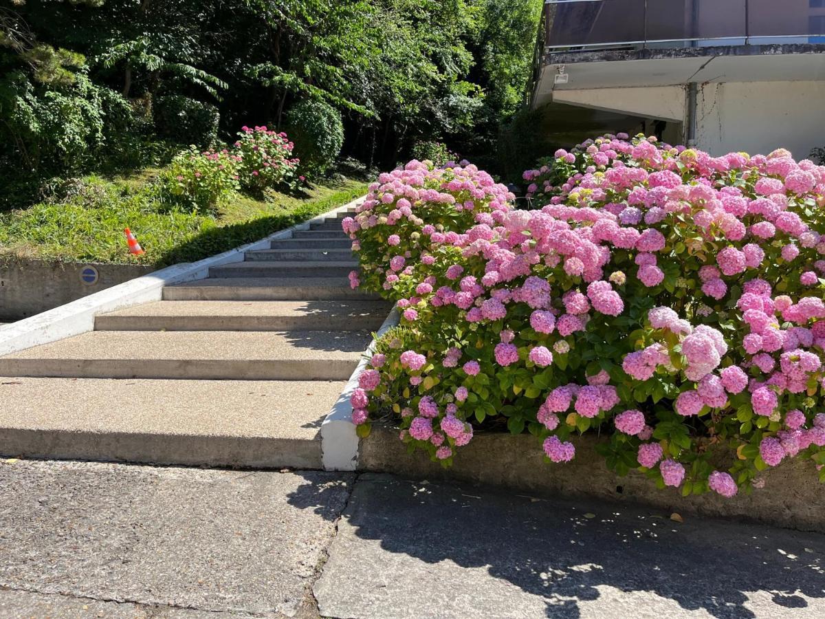 Trouville, Appartement Renove Avec Grande Terrasse Au Calme Экстерьер фото